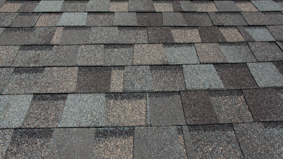Why Dimensional Fiberglass Composition Shingles Are a Smart Choice in the Bay Area